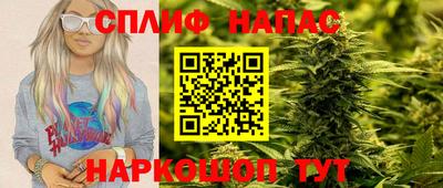 тгк Тула