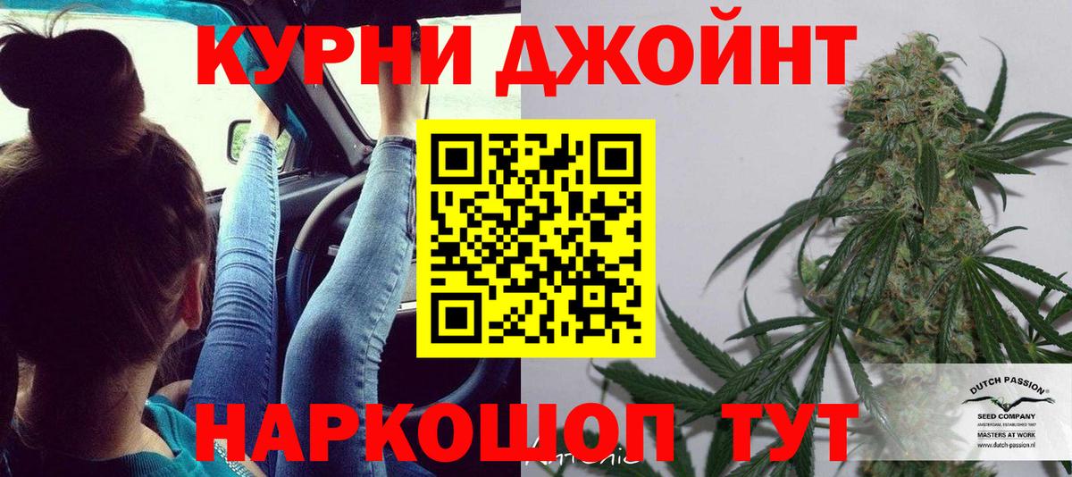 Конопля план Новошахтинск